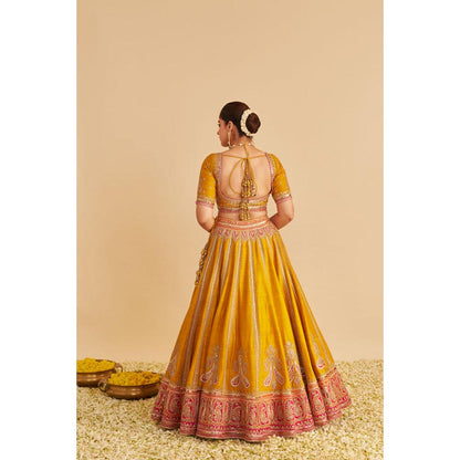 Sheetal Batra Amara - Mustard Lehenga With Blouse And Dupatta Set