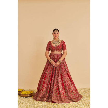 Sheetal Batra Mahanoor Pure Silk Red Bridal Lehenga With Blouse And Dupatta Set