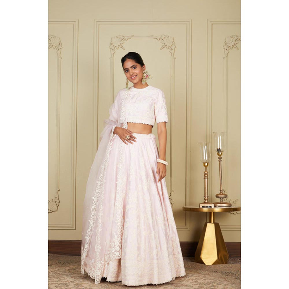 Sheetal Batra Myra - Pearl Blush Pink Lehenga With Blouse And Dupatta Set