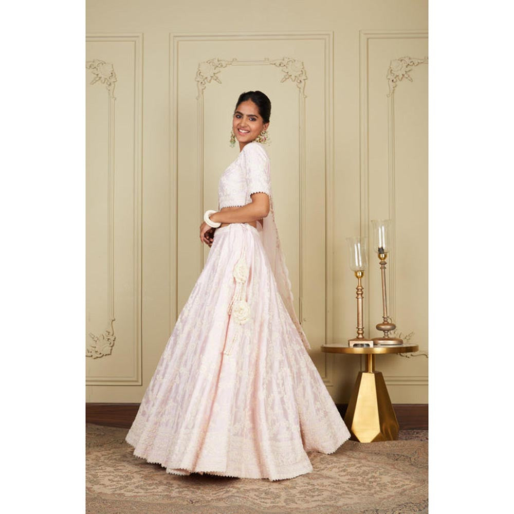 Sheetal Batra Myra - Pearl Blush Pink Lehenga With Blouse And Dupatta Set
