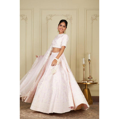 Sheetal Batra Myra - Pearl Blush Pink Lehenga With Blouse And Dupatta Set