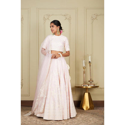 Sheetal Batra Myra - Pearl Blush Pink Lehenga With Blouse And Dupatta Set