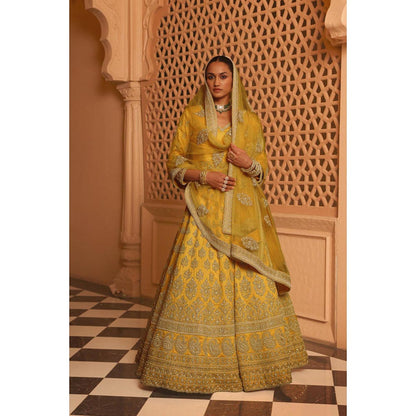 Sheetal Batra Noorali - Mustard Lehenga With Choli Blouse And Dupatta Set