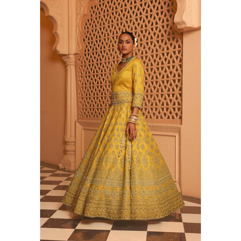 Sheetal Batra Noorali - Mustard Lehenga With Choli Blouse And Dupatta Set
