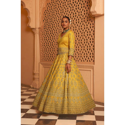 Sheetal Batra Noorali - Mustard Lehenga With Choli Blouse And Dupatta Set