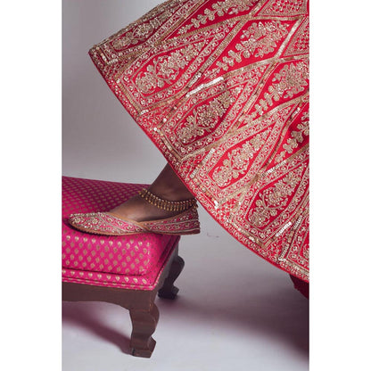 Sheetal Batra Pakeezah- Crimson Red Zardozi Lehenga , Blouse And Dupatta