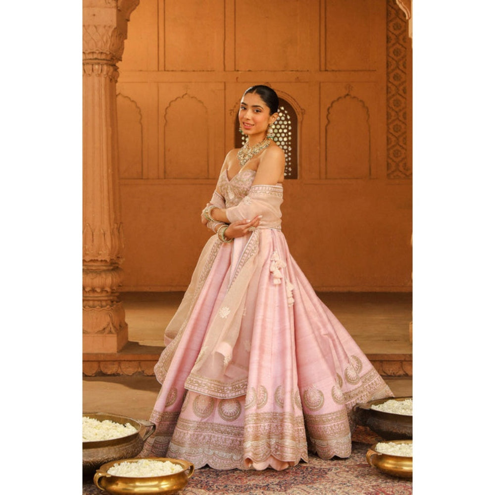 Sheetal Batra Razana - Blush Pink Lehenga With Blouse And Dupatta Set