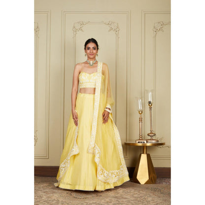 Sheetal Batra Samrina - Lemon Yellow Lehenga With Bustier Blouse And Dupatta Set