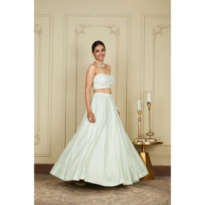 Sheetal Batra Sanaira - Frosty Green Lehenga With Bustier Blouse And Dupatta Set