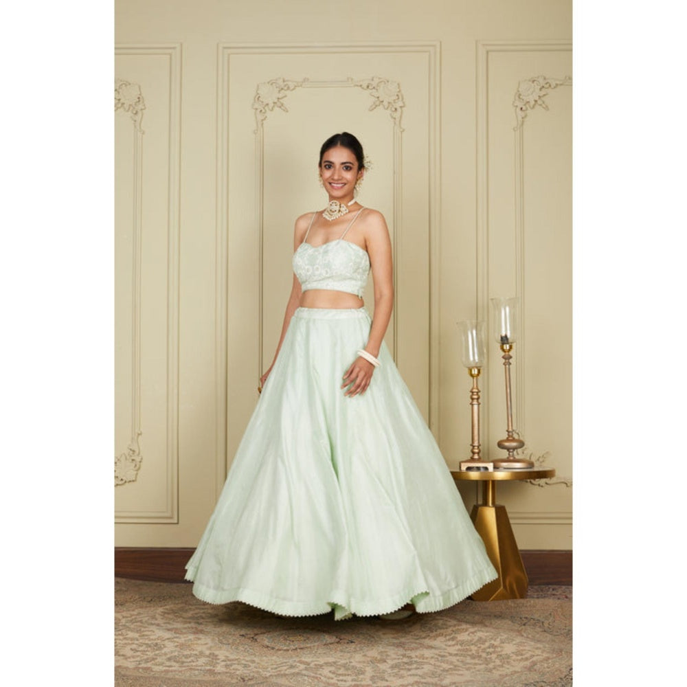 Sheetal Batra Sanaira - Frosty Green Lehenga With Bustier Blouse And Dupatta Set
