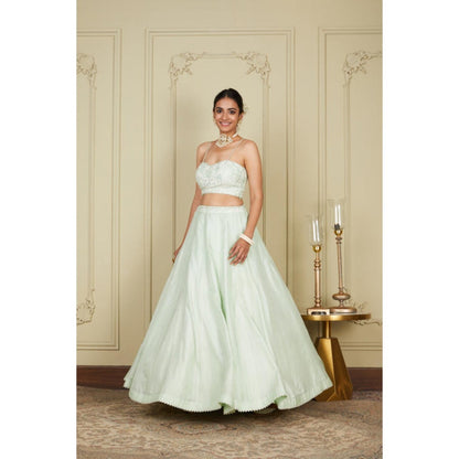 Sheetal Batra Sanaira - Frosty Green Lehenga With Bustier Blouse And Dupatta Set