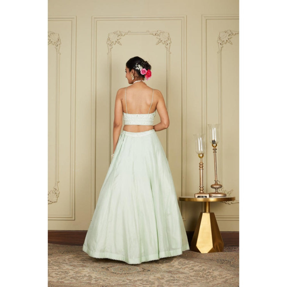 Sheetal Batra Sanaira - Frosty Green Lehenga With Bustier Blouse And Dupatta Set