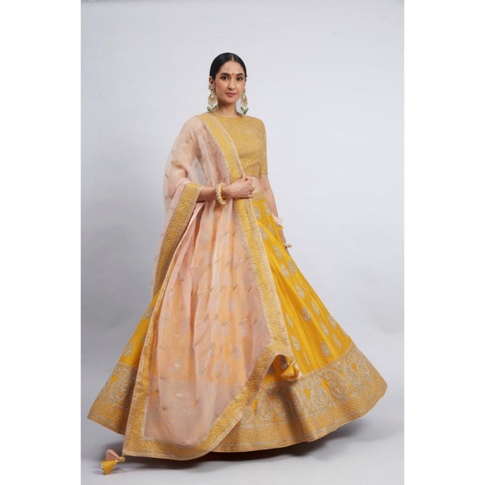 Sheetal Batra Varisha-Happy Mustard Raw Silk Lehenga With Blouse And Dupatta Set