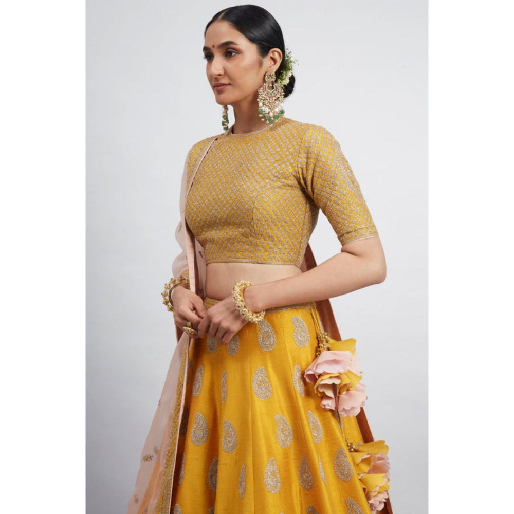Sheetal Batra Varisha-Happy Mustard Raw Silk Lehenga With Blouse And Dupatta Set