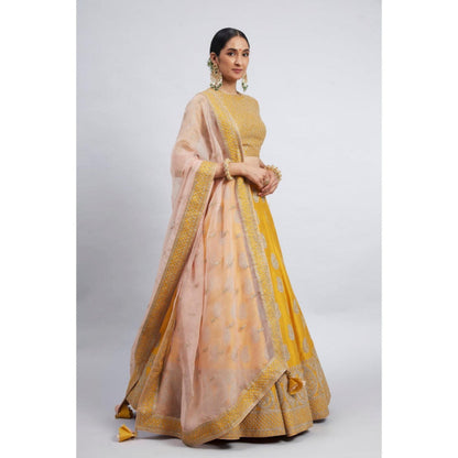 Sheetal Batra Varisha-Happy Mustard Raw Silk Lehenga With Blouse And Dupatta Set