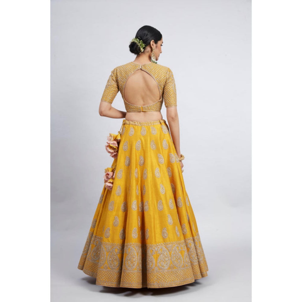 Sheetal Batra Varisha-Happy Mustard Raw Silk Lehenga With Blouse And Dupatta Set