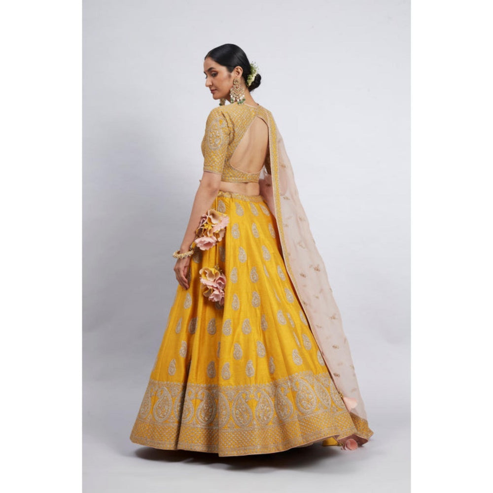 Sheetal Batra Varisha-Happy Mustard Raw Silk Lehenga With Blouse And Dupatta Set