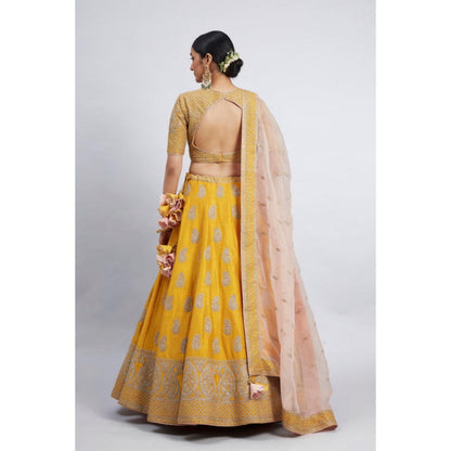 Sheetal Batra Varisha-Happy Mustard Raw Silk Lehenga With Blouse And Dupatta Set