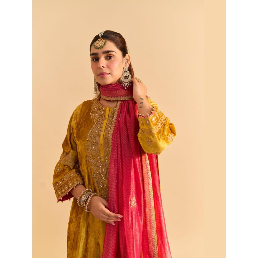 Sheetal Batra Amal Mustard Velvet Embroidered Kurta With Dhoti and Dupatta