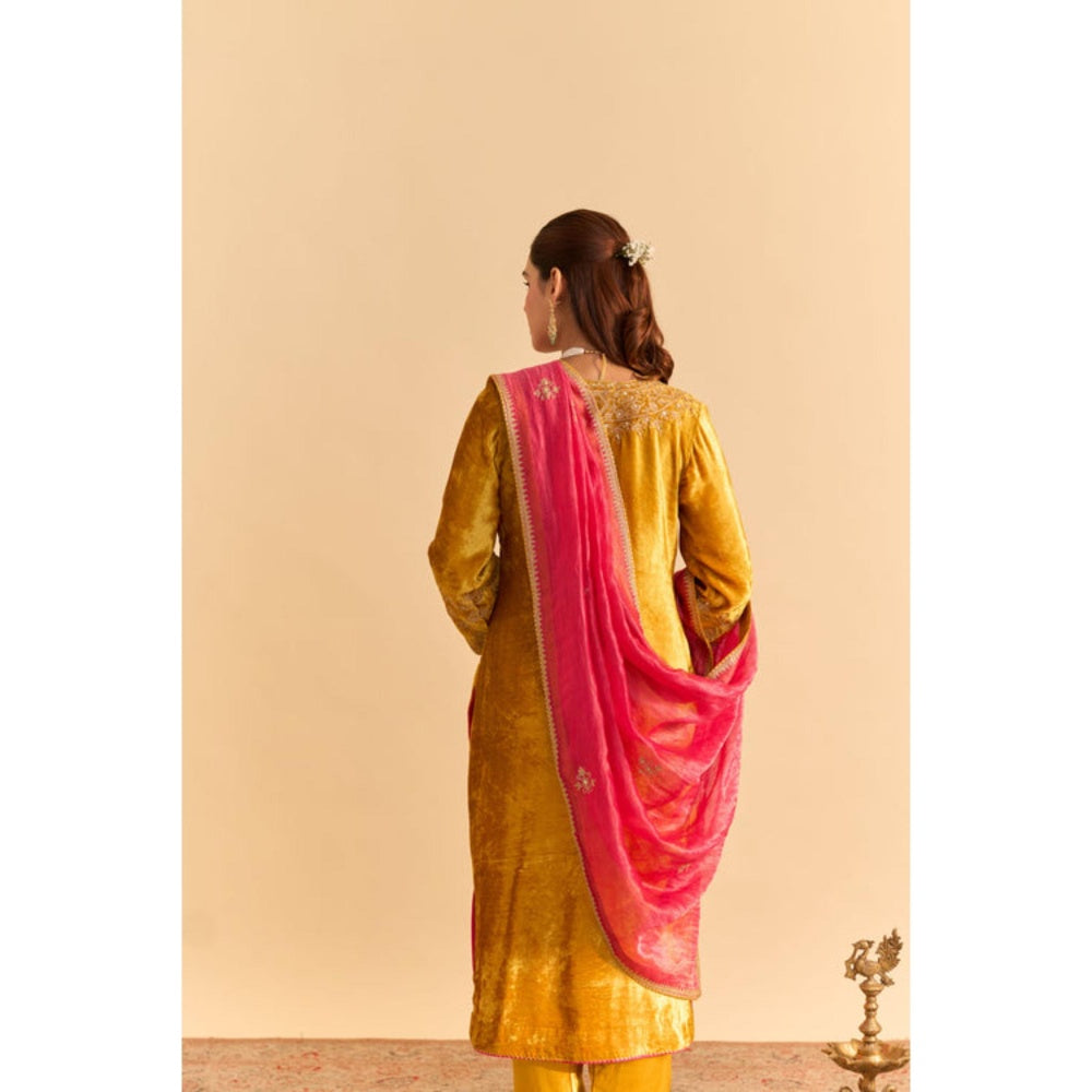 Sheetal Batra Aynaz Mustard Velvet Embroidered Kurta With Salwar and Dupatta
