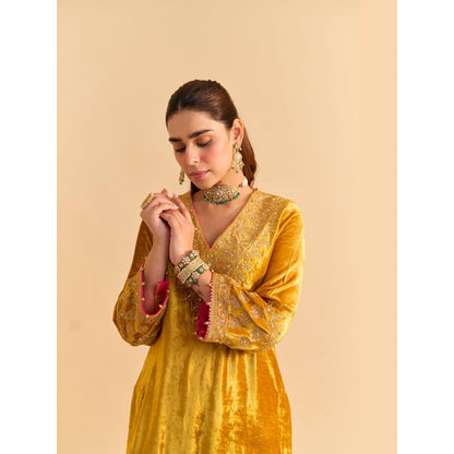 Sheetal Batra Aynaz Mustard Velvet Embroidered Kurta With Salwar and Dupatta
