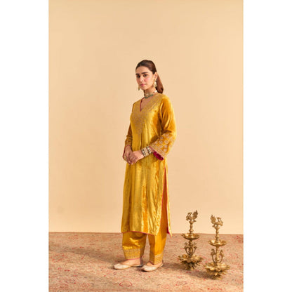 Sheetal Batra Aynaz Mustard Velvet Embroidered Kurta With Salwar
