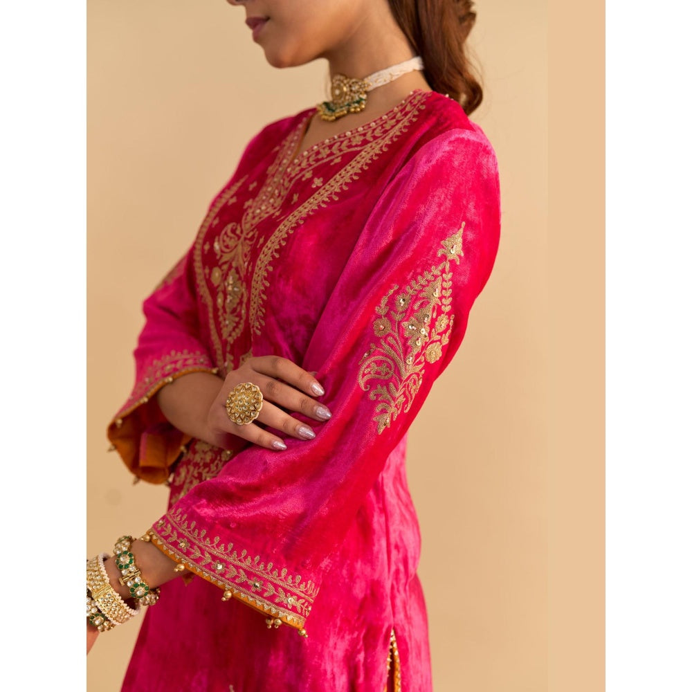 Sheetal Batra Nooren Pink Velvet Embroidered Kurta With Sharara