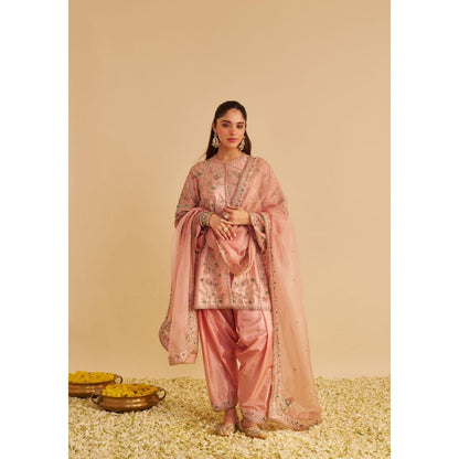 Sheetal Batra Alira Dabka Zardozi Embroidered Peach Kurta with Salwar and Dupatta