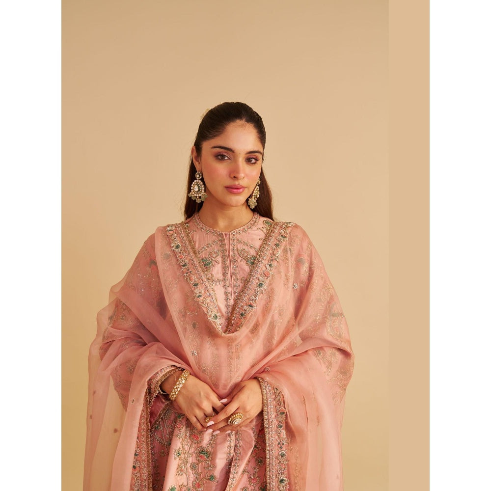 Sheetal Batra Alira Dabka Zardozi Embroidered Peach Kurta with Salwar and Dupatta