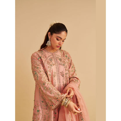 Sheetal Batra Alira Dabka Zardozi Embroidered Peach Kurta with Salwar and Dupatta