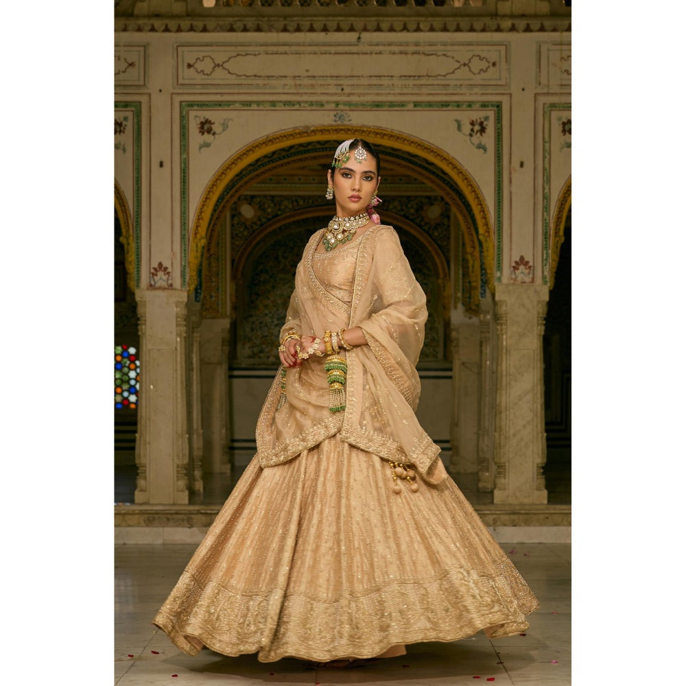 Sheetal Batra Aaliya Dabka Zardozi Embroidered Raw Silk Gold Lehenga with Blouse and Dupatta