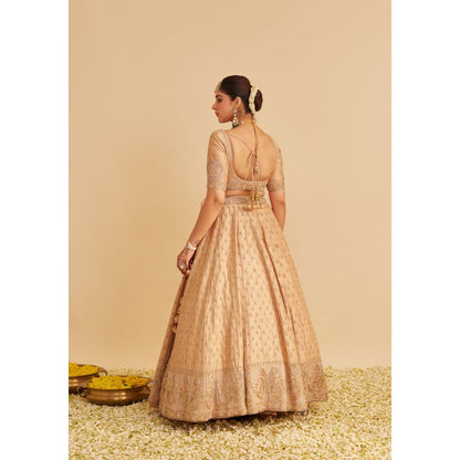Sheetal Batra Aaliya Dabka Zardozi Embroidered Raw Silk Gold Lehenga with Blouse and Dupatta