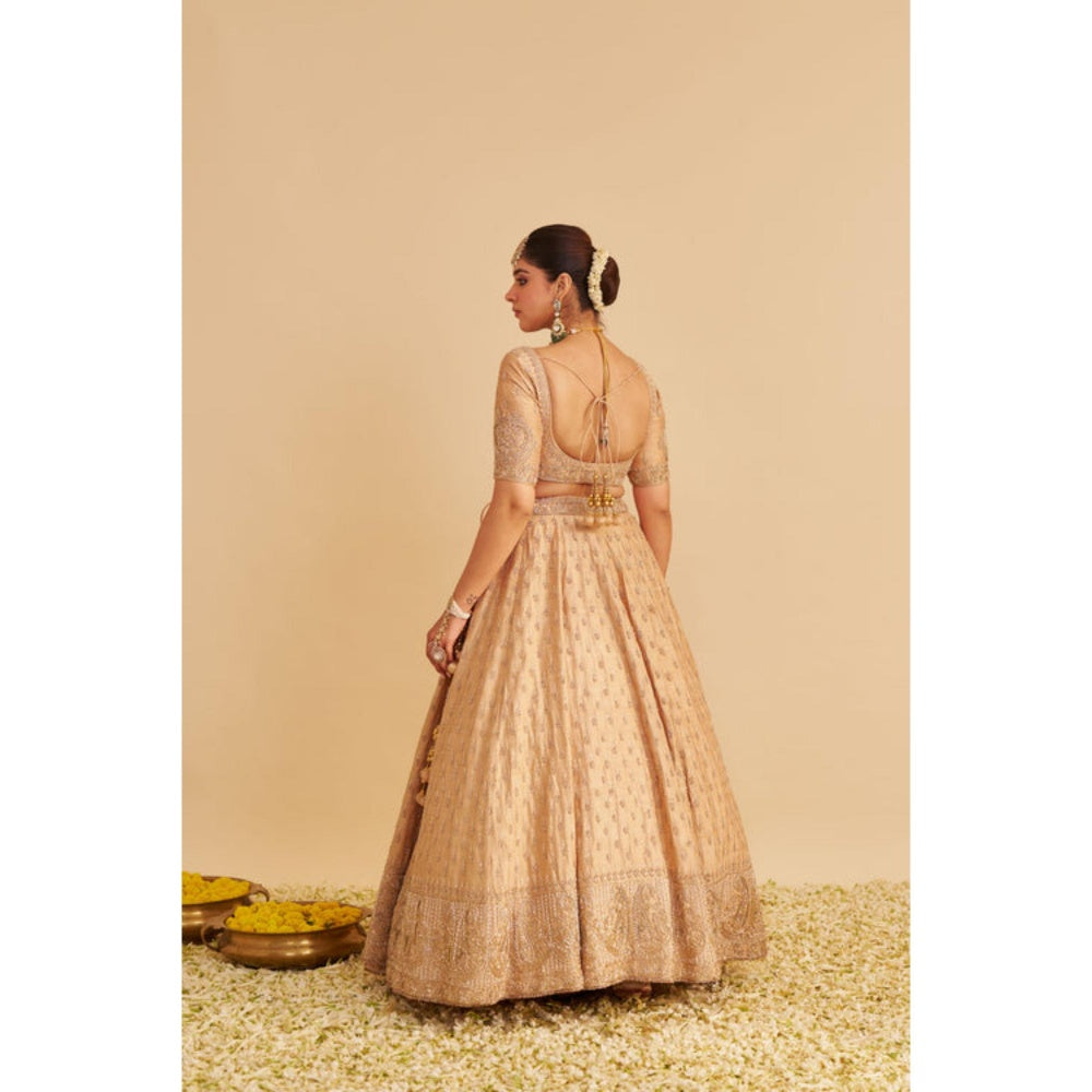 Sheetal Batra Aaliya Dabka Zardozi Embroidered Raw Silk Gold Lehenga with Blouse and Dupatta