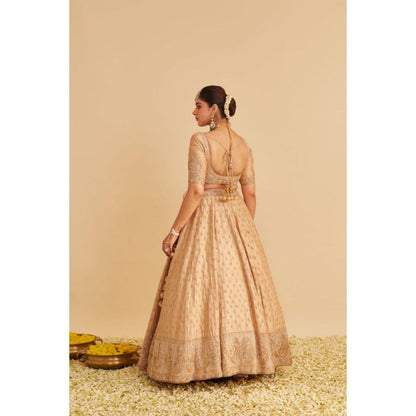 Sheetal Batra Aaliya Dabka Zardozi Embroidered Raw Silk Gold Lehenga with Blouse and Dupatta