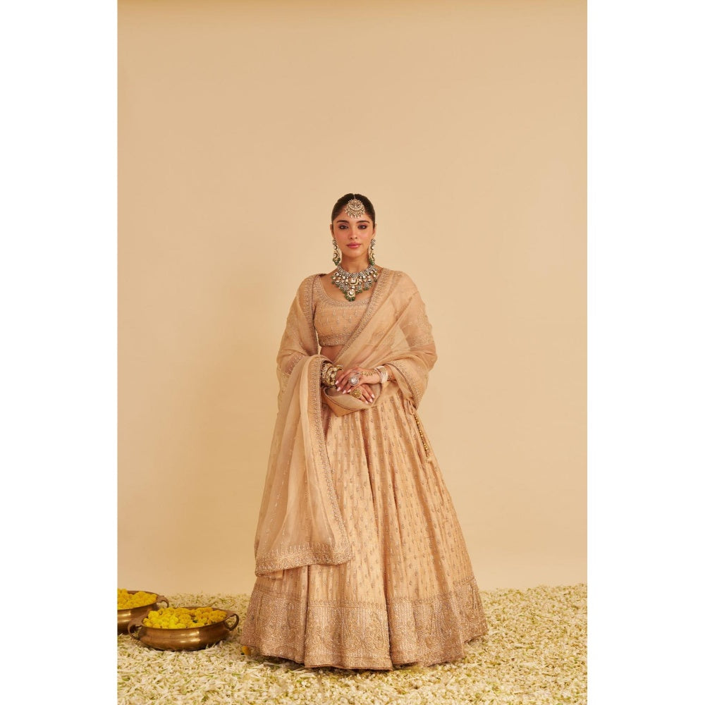 Sheetal Batra Aaliya Dabka Zardozi Embroidered Raw Silk Gold Lehenga with Blouse and Dupatta