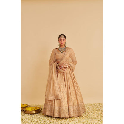 Sheetal Batra Aaliya Dabka Zardozi Embroidered Raw Silk Gold Lehenga with Blouse and Dupatta