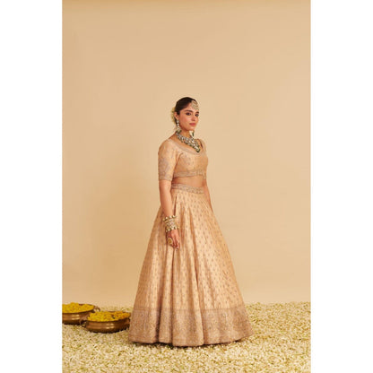 Sheetal Batra Aaliya Dabka Zardozi Embroidered Raw Silk Gold Lehenga with Blouse and Dupatta