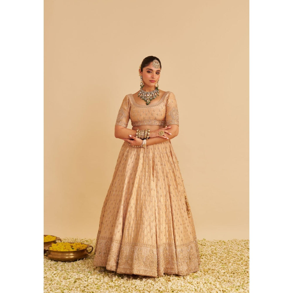 Sheetal Batra Aaliya Dabka Zardozi Embroidered Raw Silk Gold Lehenga with Blouse and Dupatta