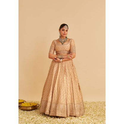 Sheetal Batra Aaliya Dabka Zardozi Embroidered Raw Silk Gold Lehenga with Blouse and Dupatta