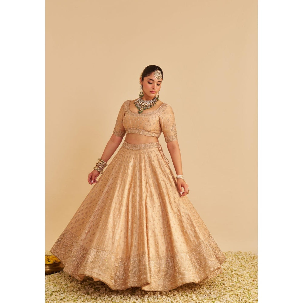 Sheetal Batra Aaliya Dabka Zardozi Embroidered Raw Silk Gold Lehenga with Blouse and Dupatta
