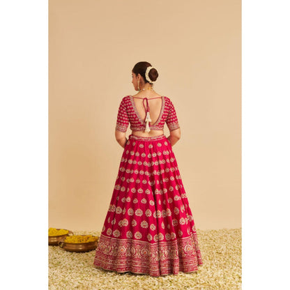 Sheetal Batra Maira Dabka Embroidered Raw Silk Bridal Lehenga with Blouse & Dupatta