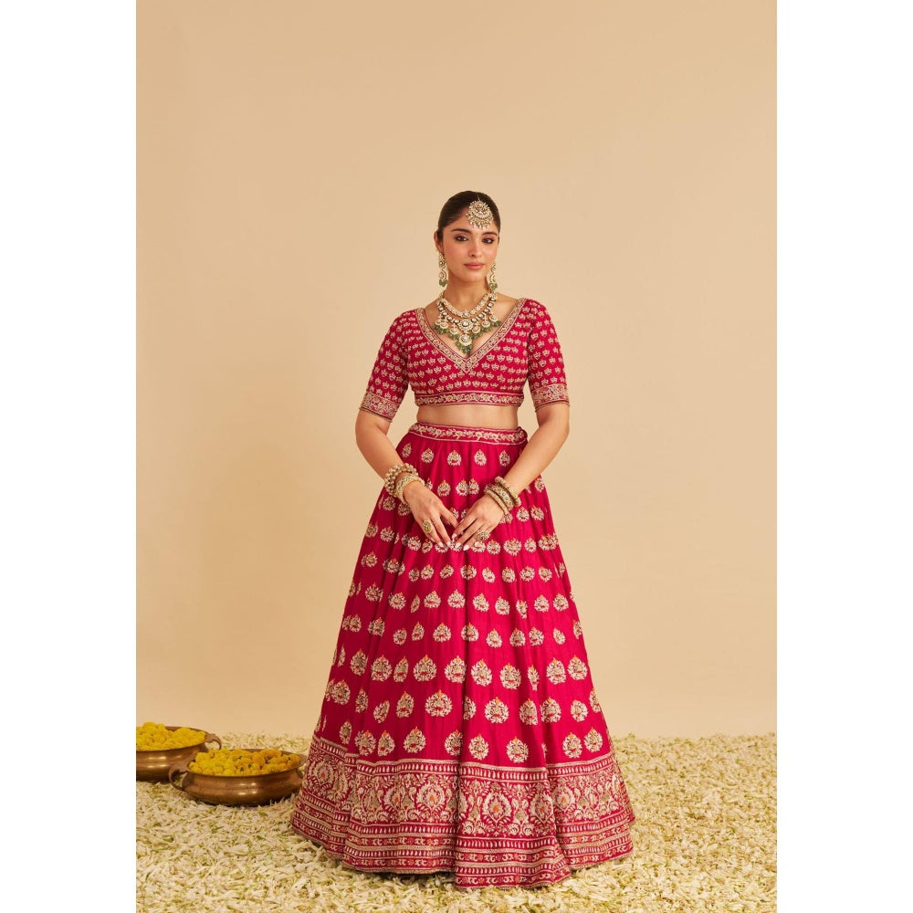 Sheetal Batra Maira Dabka Embroidered Raw Silk Bridal Lehenga with Blouse & Dupatta