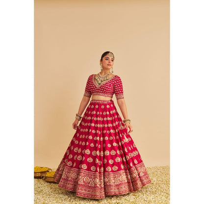 Sheetal Batra Maira Dabka Embroidered Raw Silk Bridal Lehenga with Blouse & Dupatta