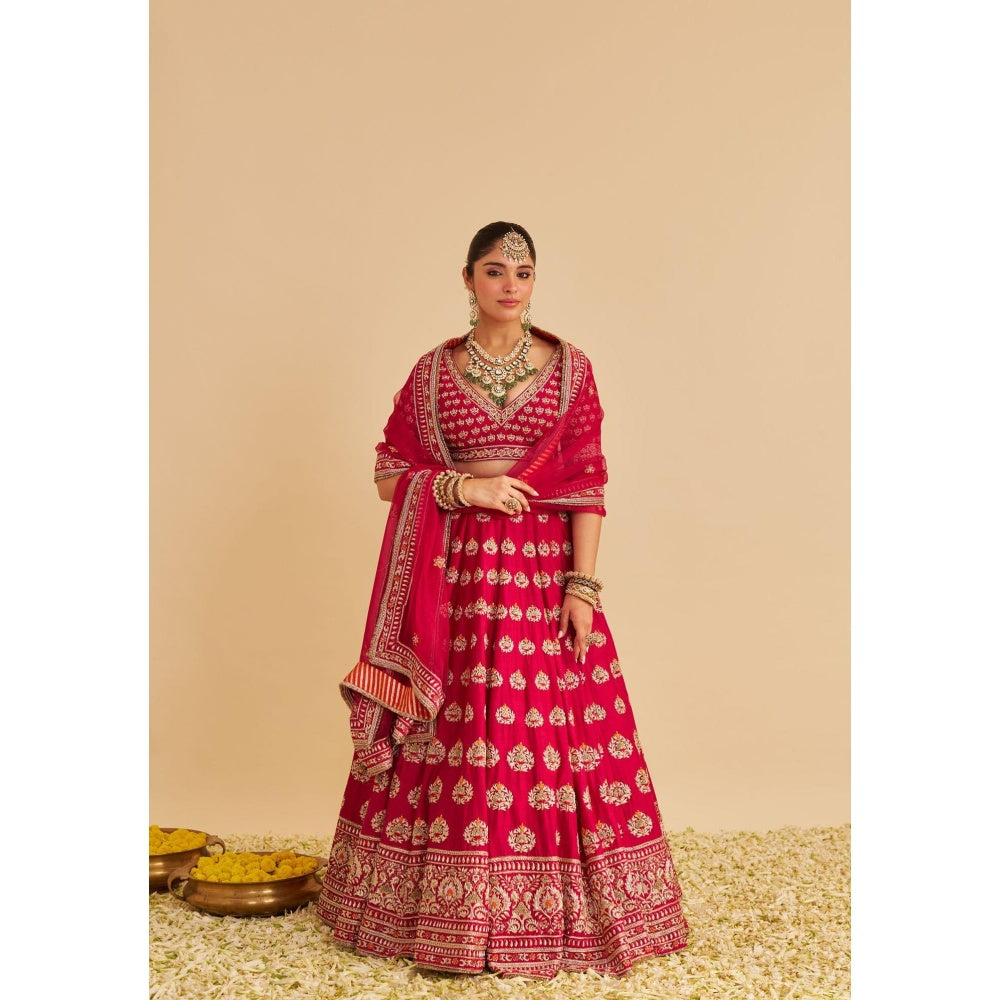 Sheetal Batra Maira Dabka Embroidered Raw Silk Bridal Lehenga with Blouse & Dupatta