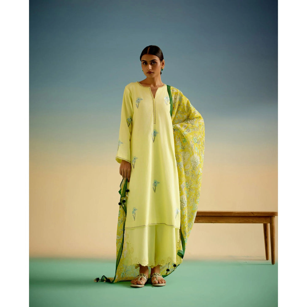 Shetab Kazmi Rosette Yellow Kurta with Palazzo and Dupatta (Set of 3)