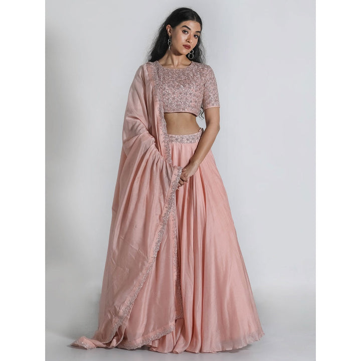 Shahmeen Husain Pink Embellished Lehenga And Choli With Dupatta (Set of 3)