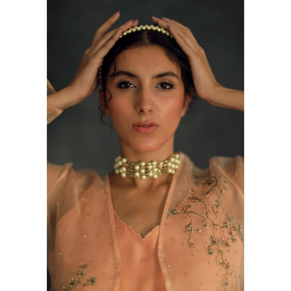 SHIKHA MEHTA Apricot Zahi Cape and Pant with Slip (Set of 3)