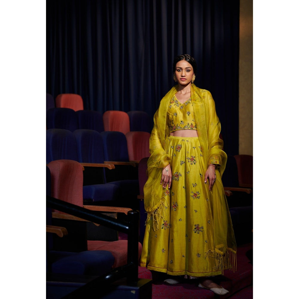 SHIKHA MEHTA Lime Zarin Lehenga with Choli and Dupatta (Set of 3)