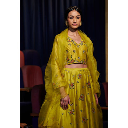 SHIKHA MEHTA Lime Zarin Lehenga with Choli and Dupatta (Set of 3)