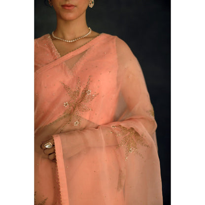 SHIKHA MEHTA Salmon Savi Stitched Blouse